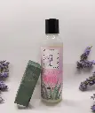 Fields of Lavender